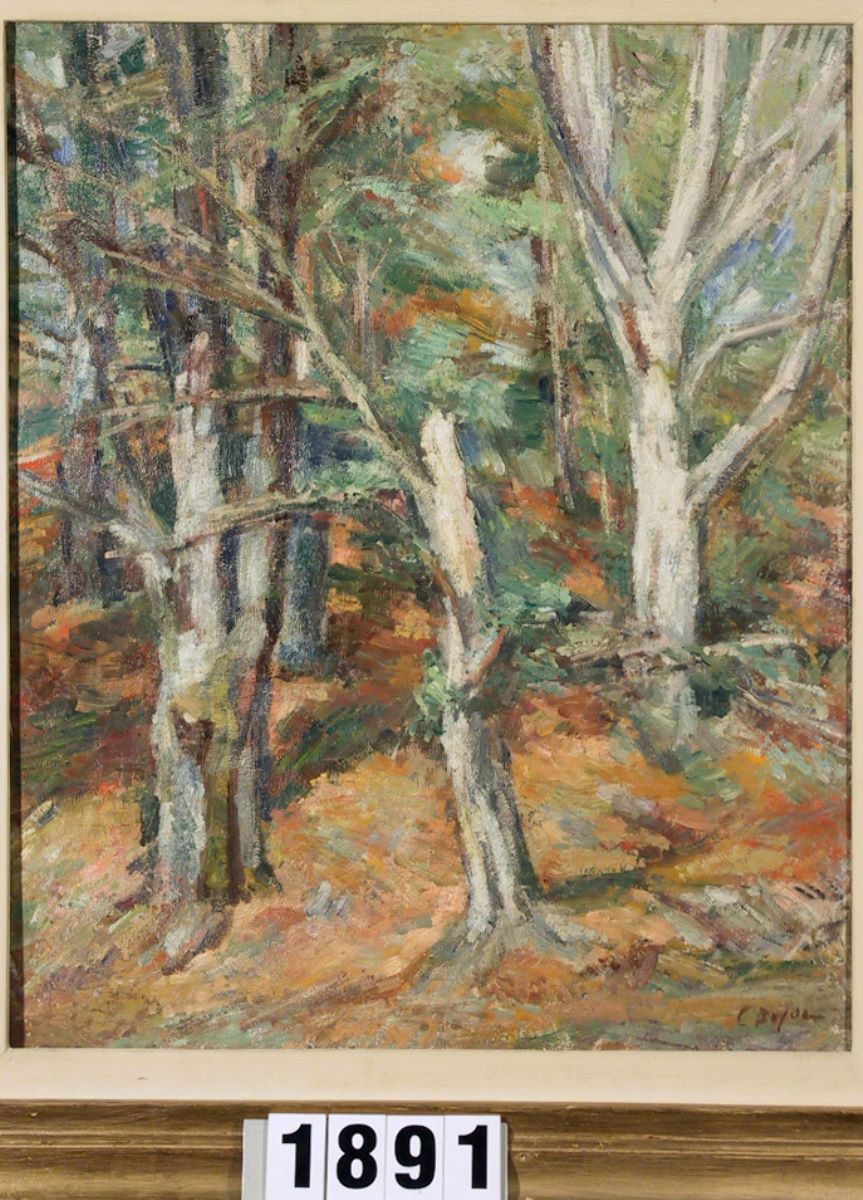Pădure