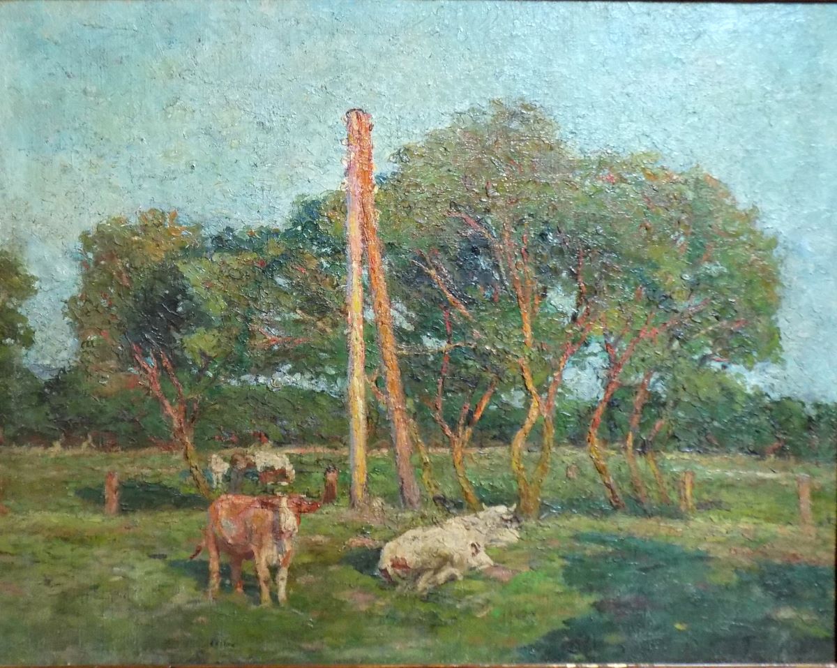Peisaj