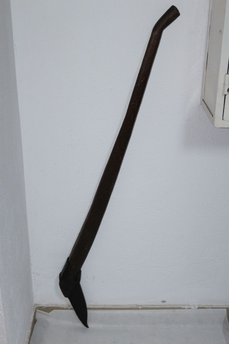 țapină
