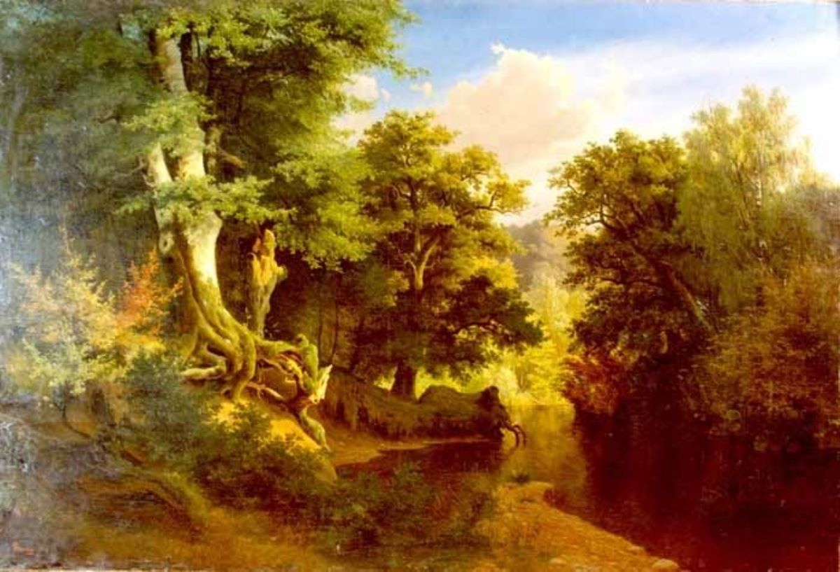 Peisaj de pădure cu râu