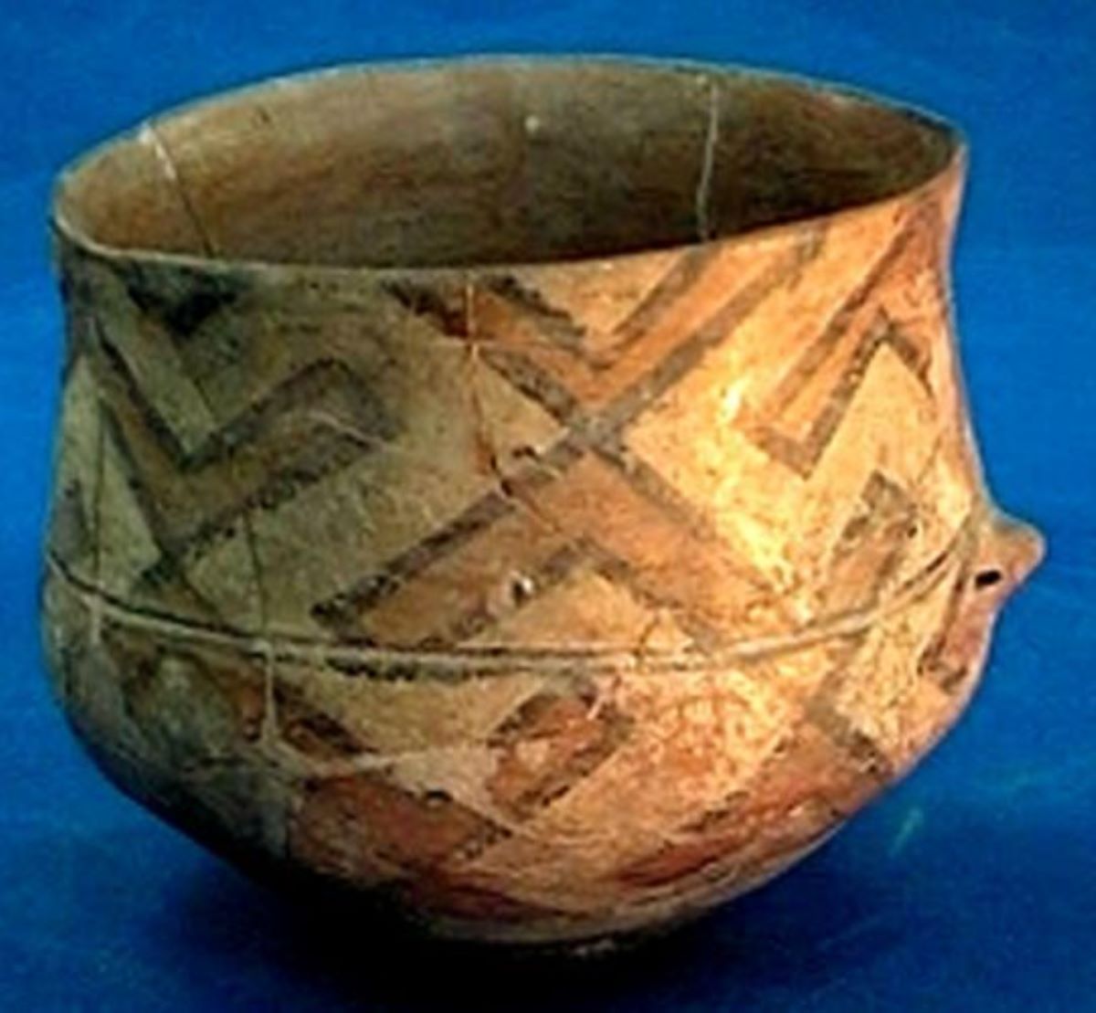 cupă