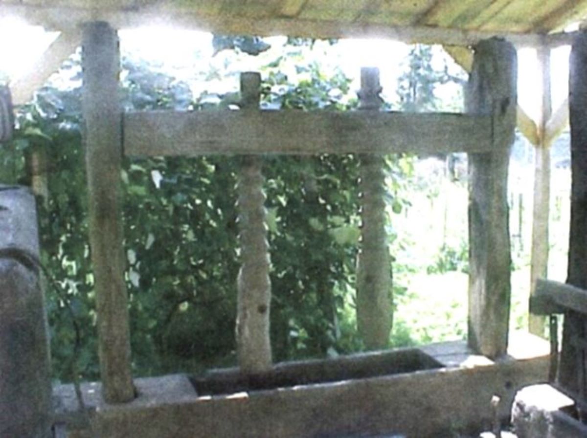 teasc de struguri