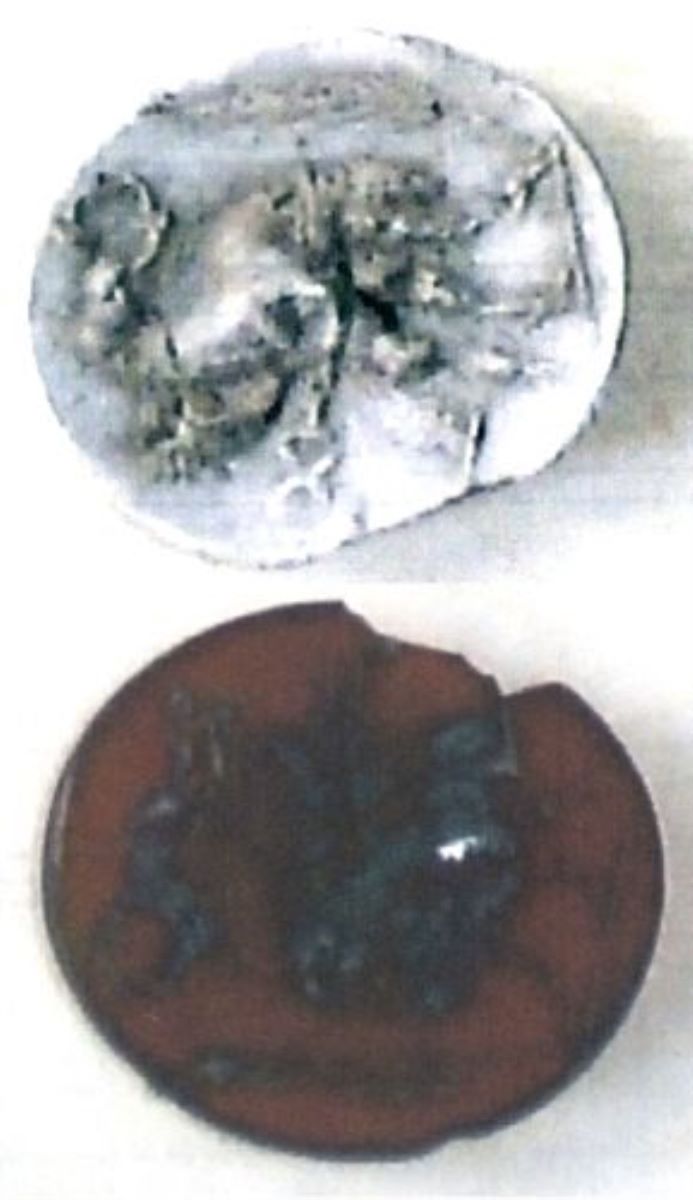 gryllos