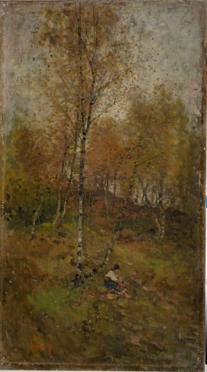 Peisaj