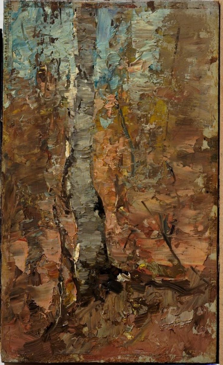 Arbore
