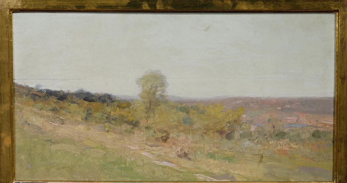 Peisaj