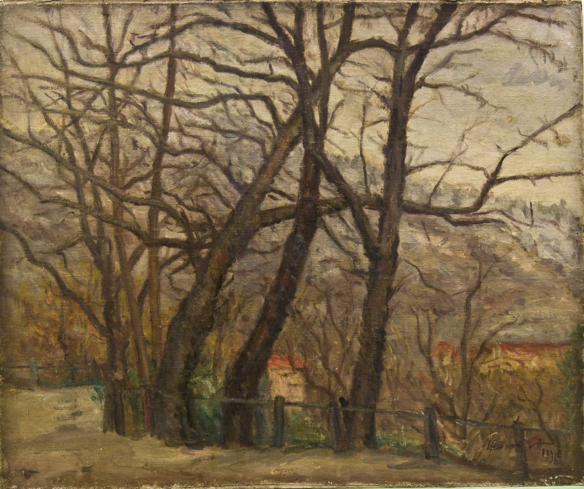Peisaj din Sighișoara