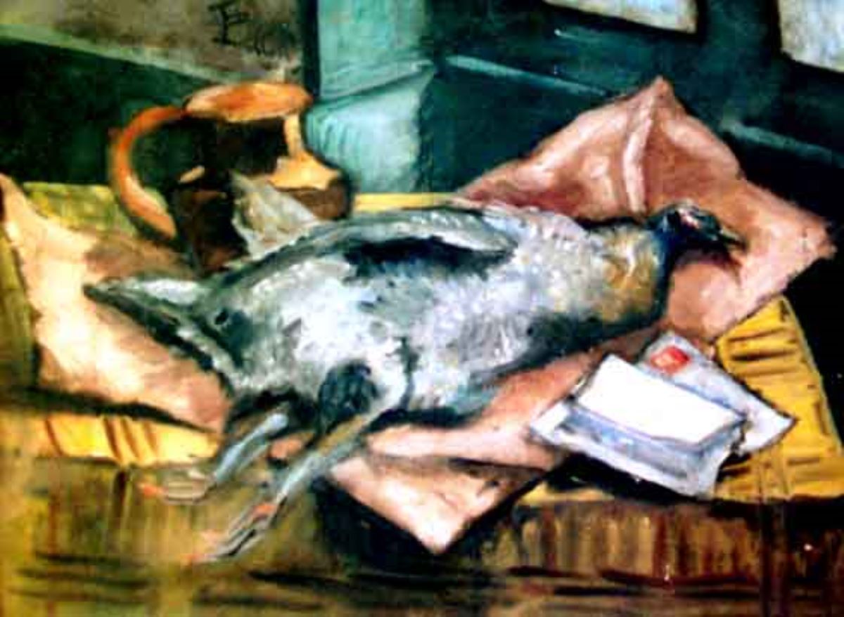Fazanul