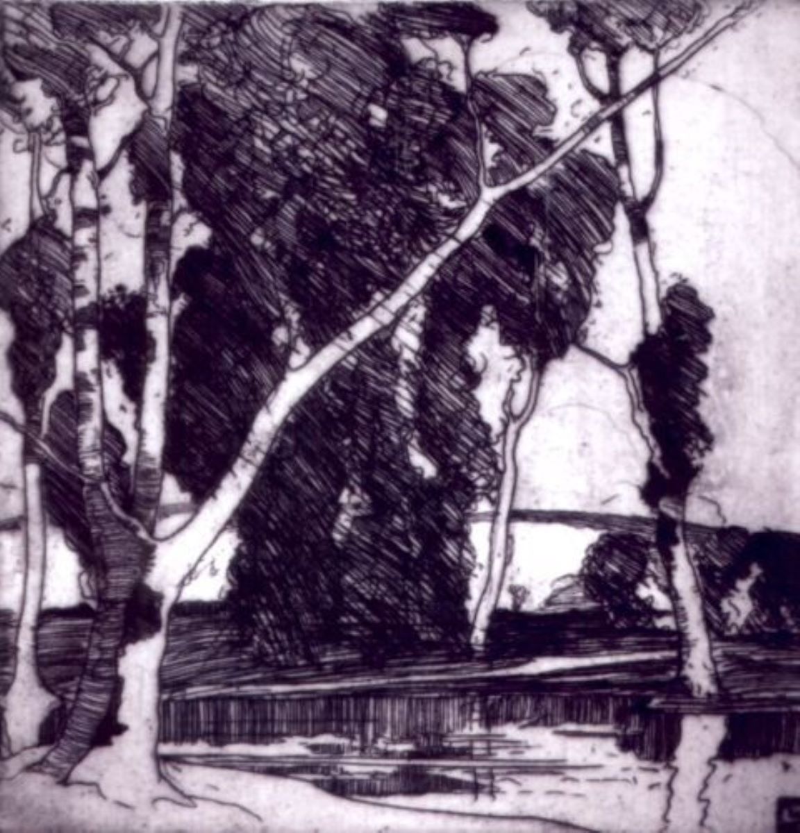 The Silent Pool