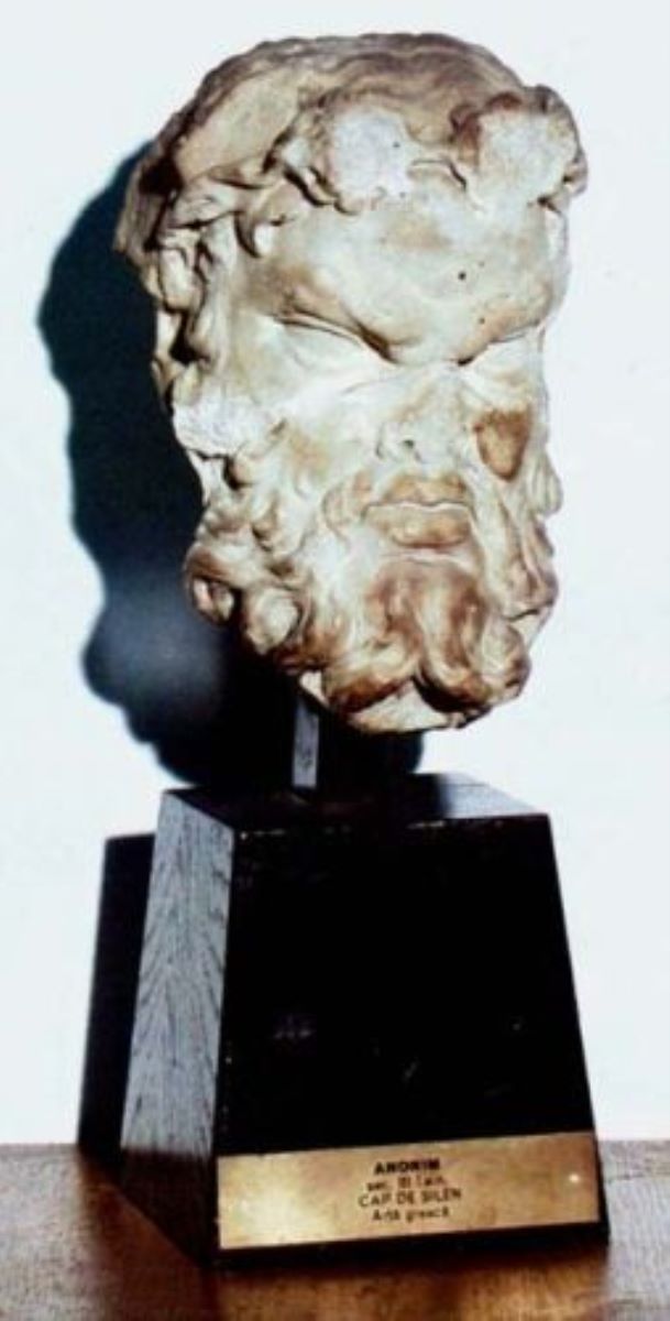 Cap de silen