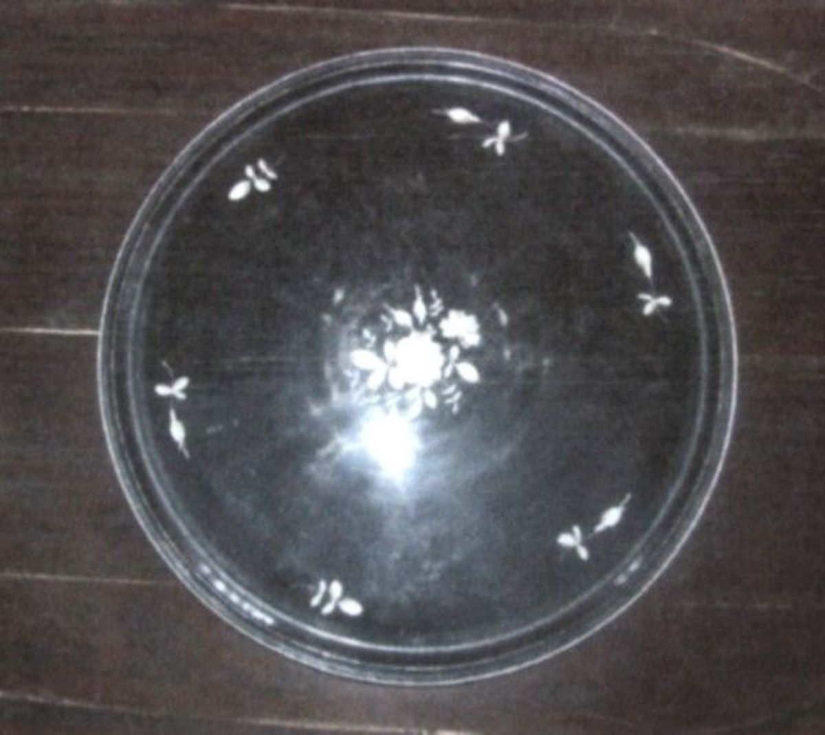 tavă