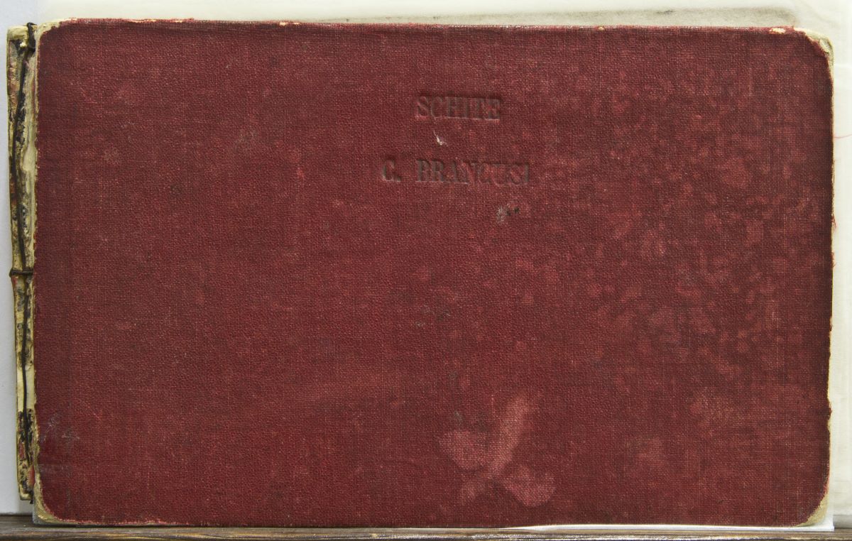 Carnet de schițe (conține 71 de file)