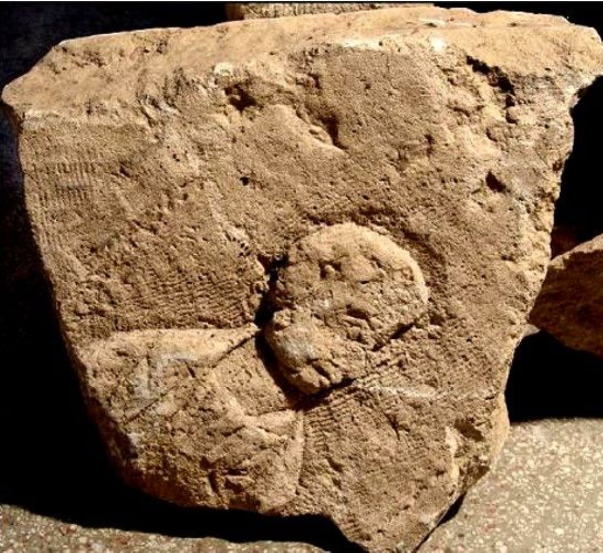 Fragment de stelă sau perete de aedicula funerară