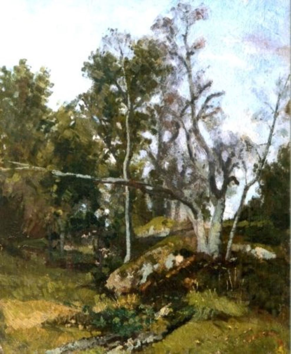 La marginea pădurii