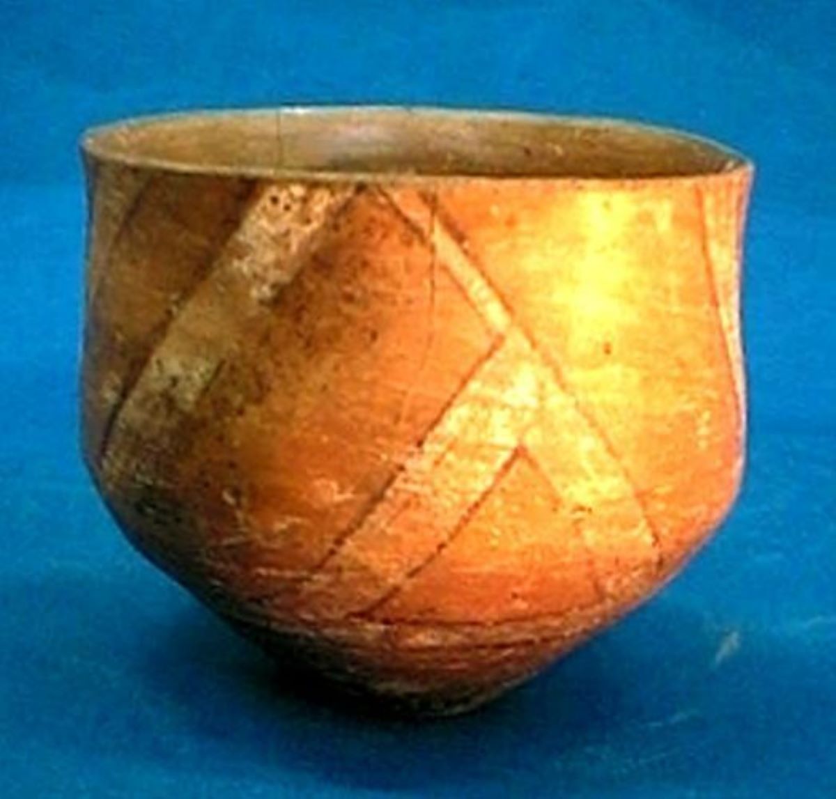 cupă