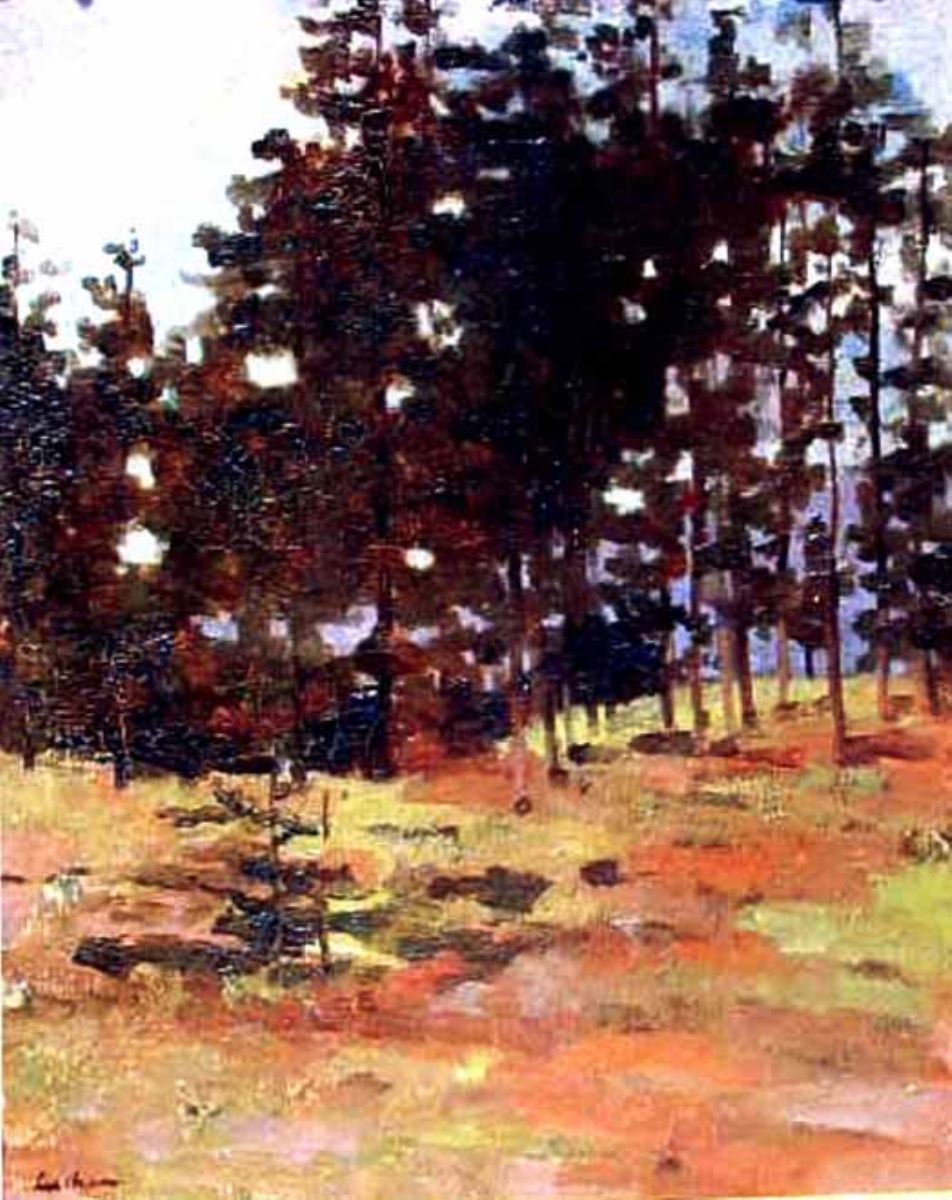 Brădet