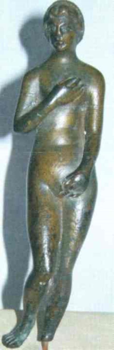 Venus pudica