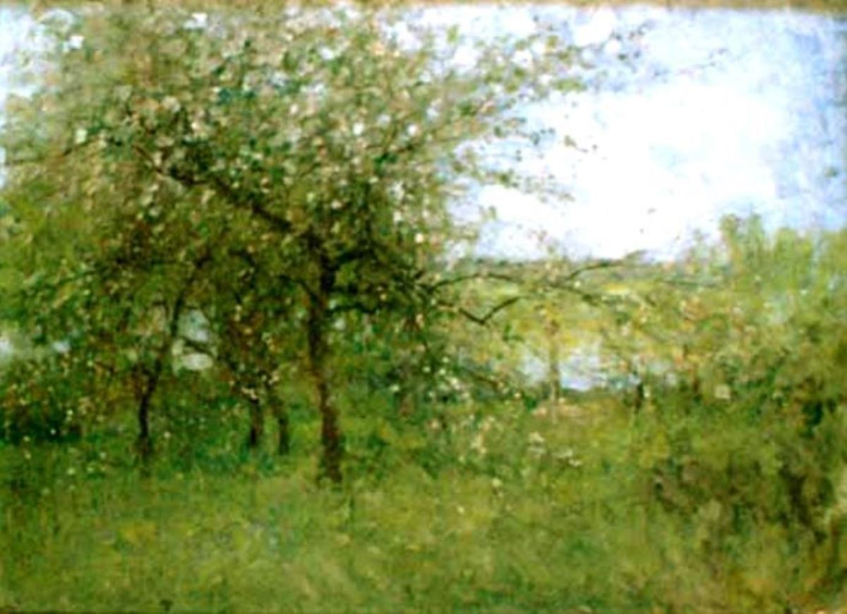 Peisaj