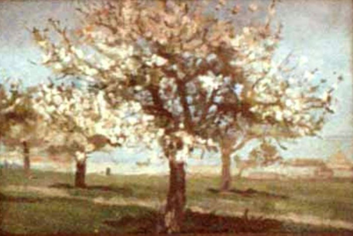 Pomi înfloriți