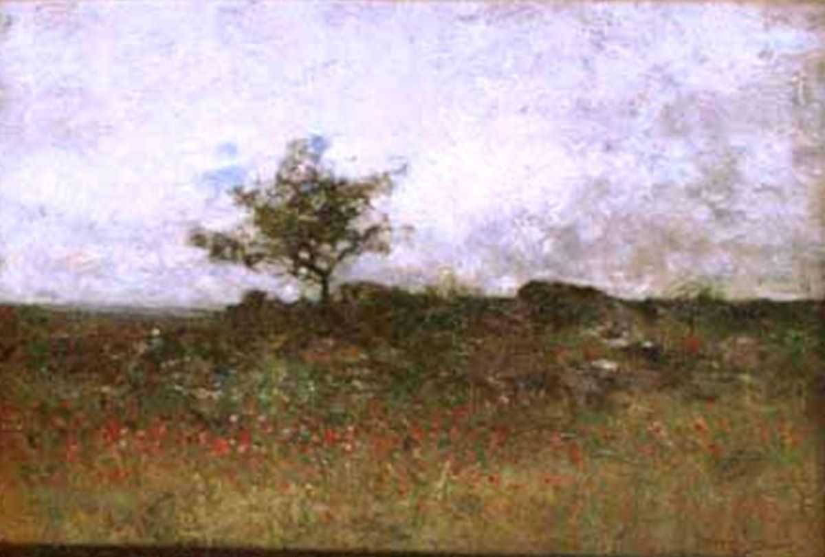 Peisaj