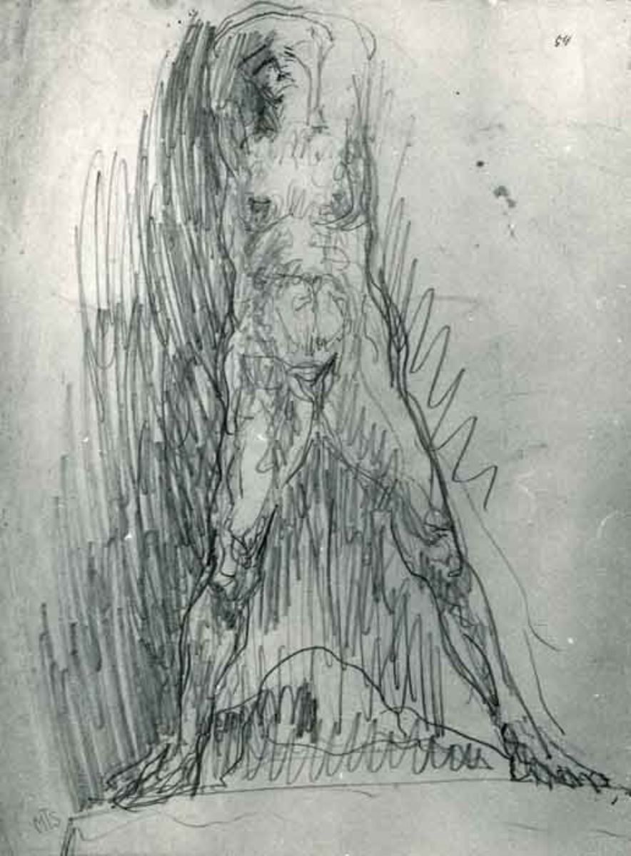 Studiu de nud