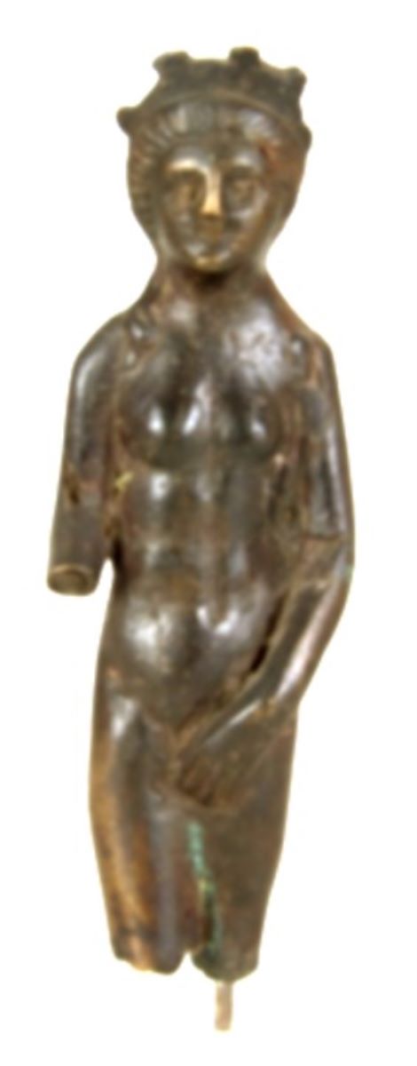 Venus pudica