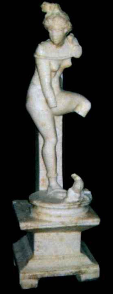 Venus Anadyomene