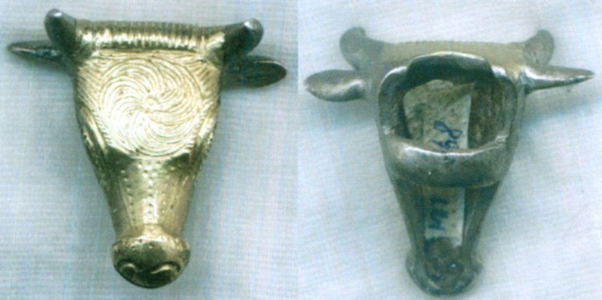 Aplică - cap de taur
