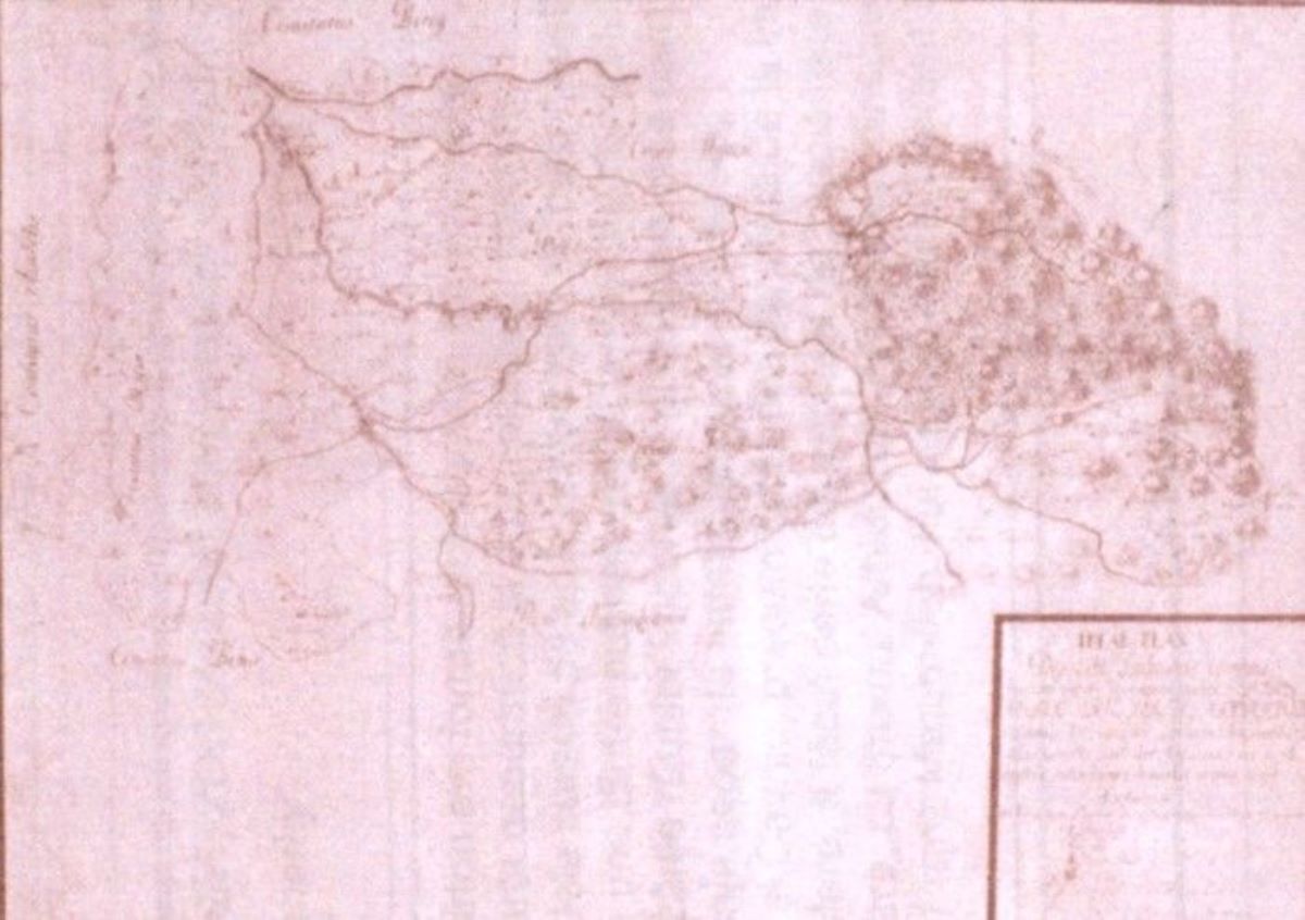 Comitatului Satu Mare