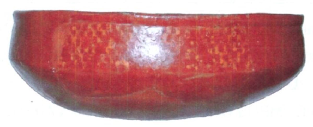 Strachină bitronconică
