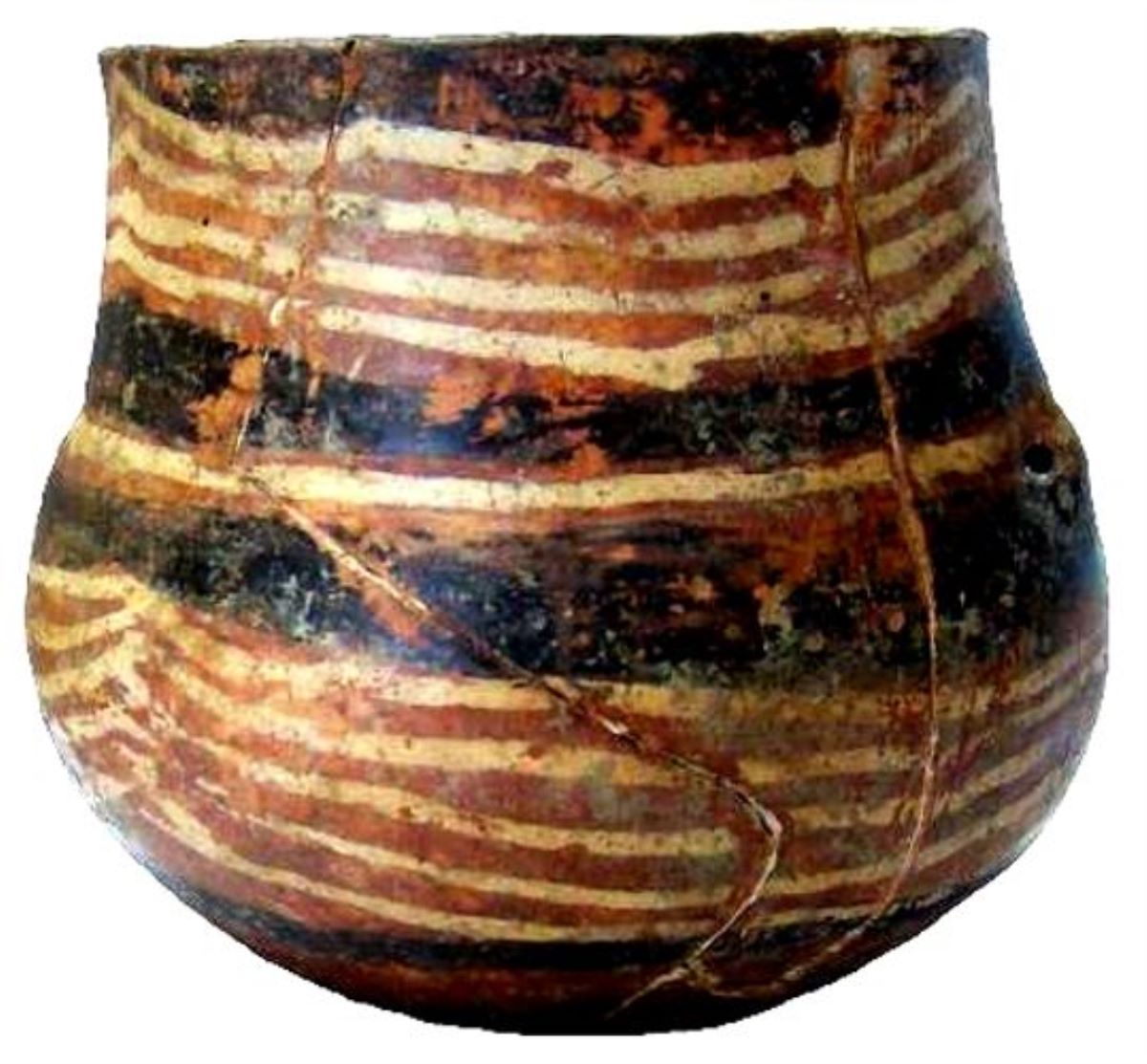 cupă