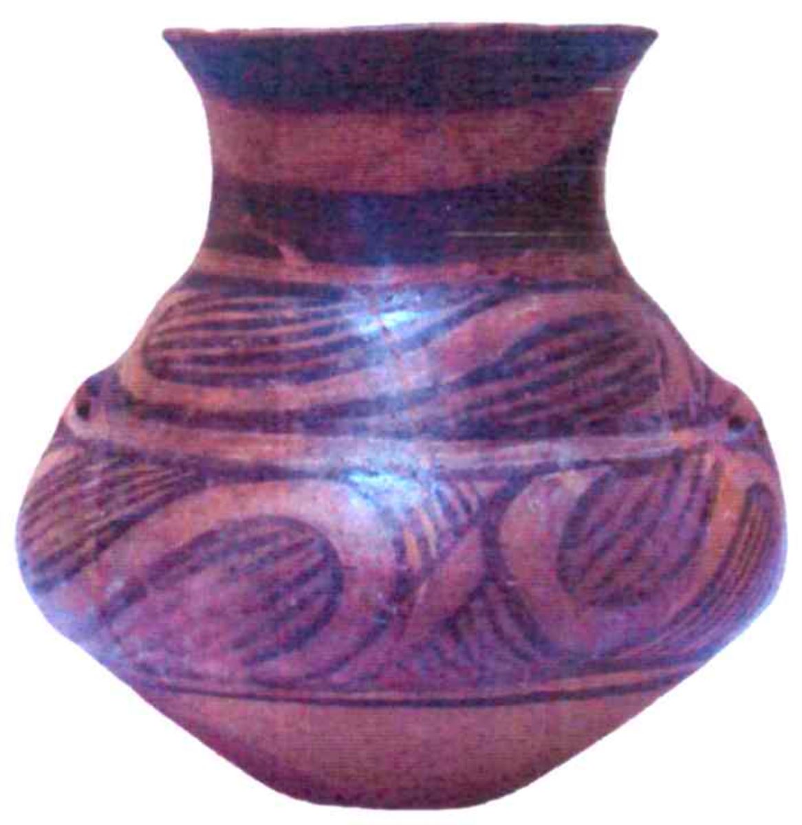 Amforetă