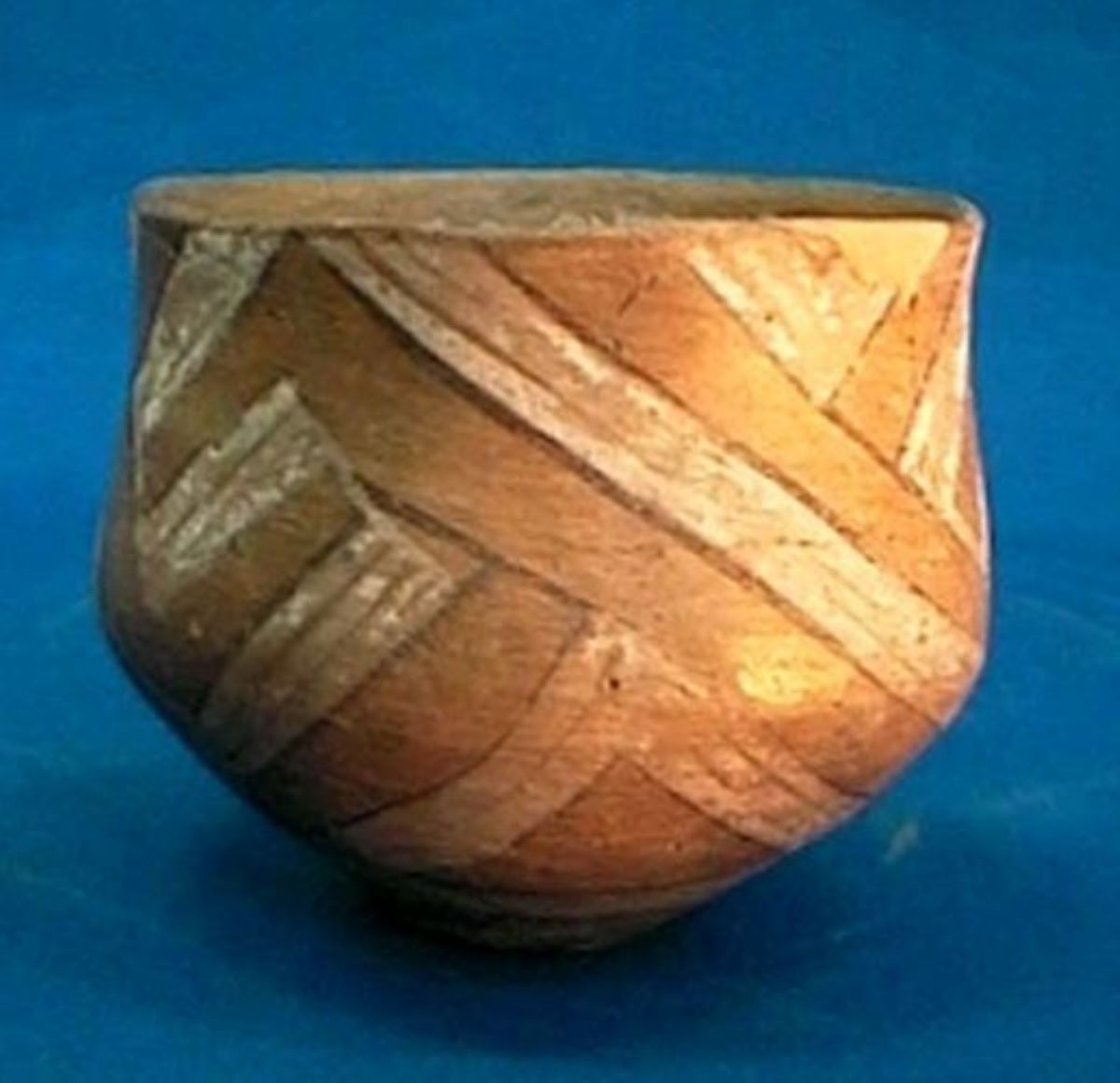 cupă