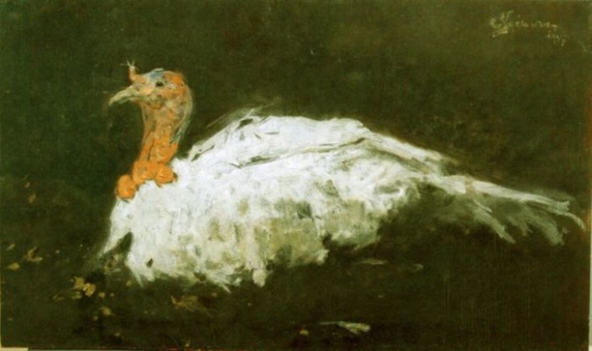 Curcan alb