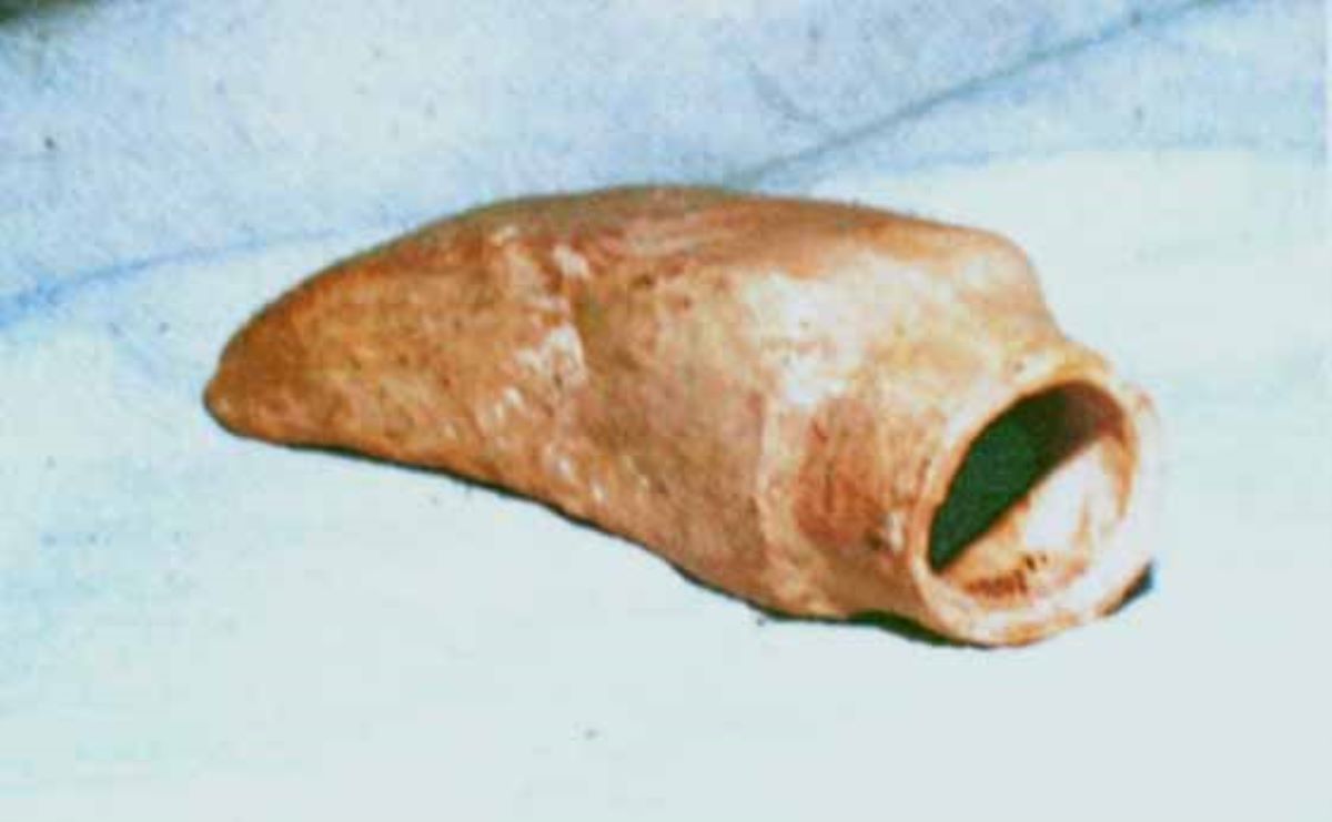 Rhyton pictat