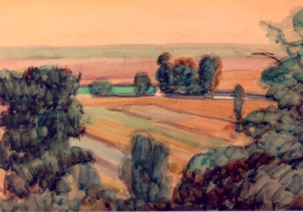Peisaj
