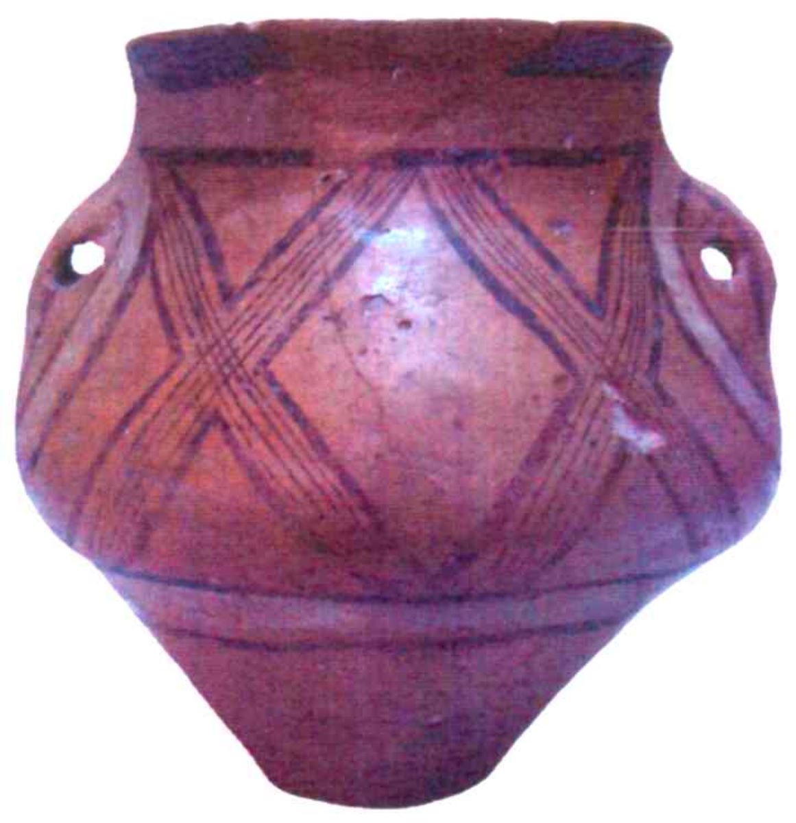 amforetă