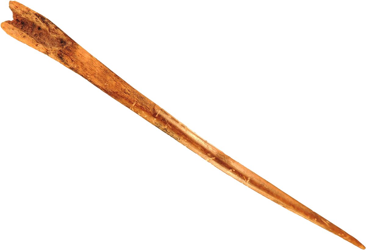 Ac de os (de podoabă) perforat pe fibula de porc