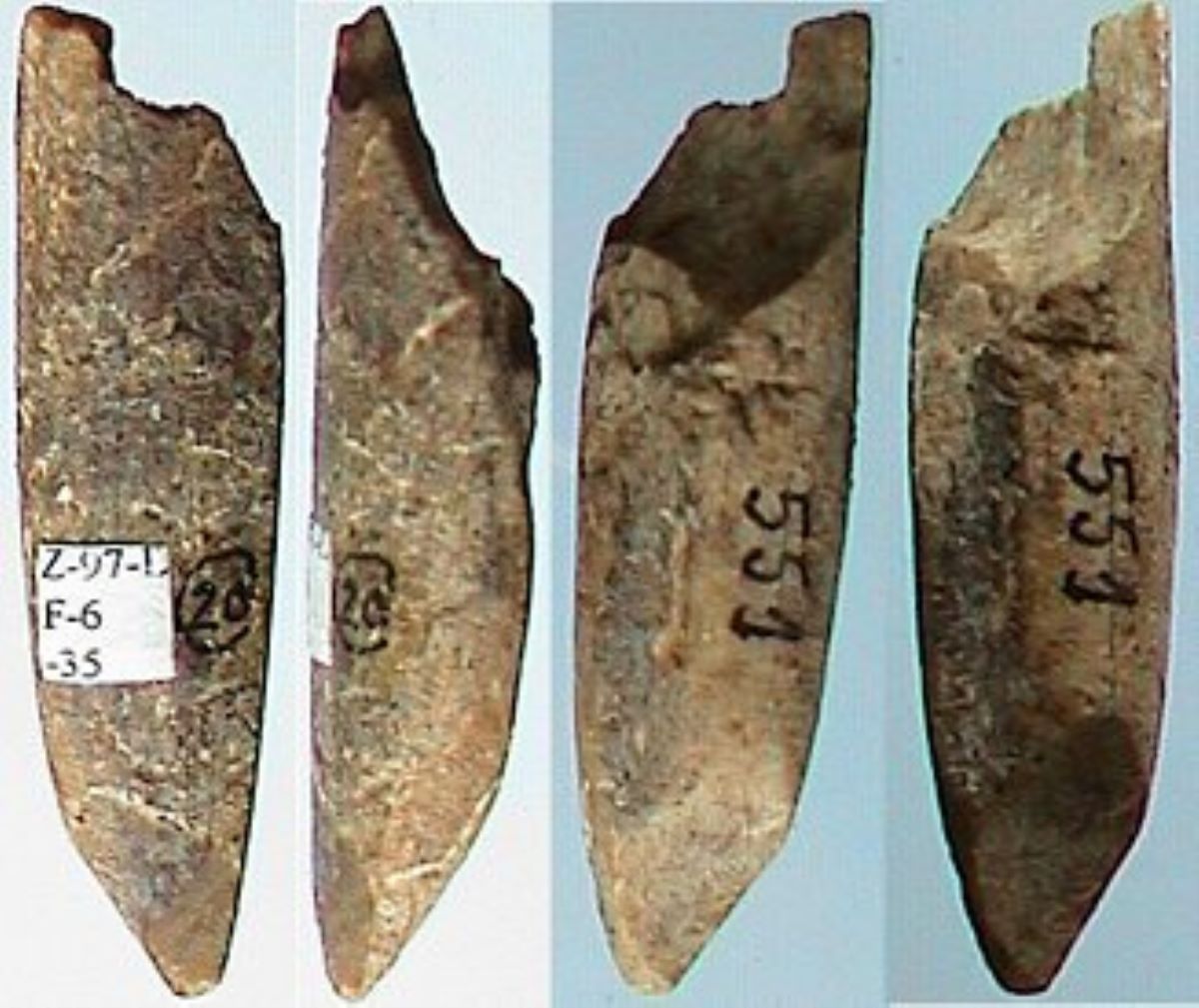 Vârf pe fragment diafizar de os lung