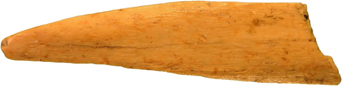 Vârf pe fragment diafizar de os lung