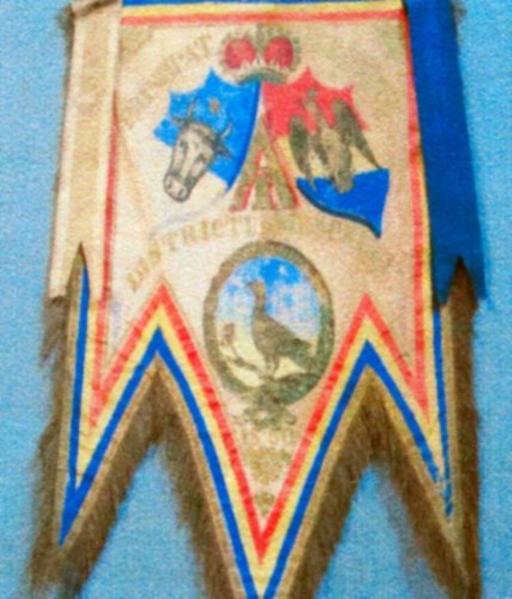 Steag al Unirii (1859) trimis pentru districtul Muscel