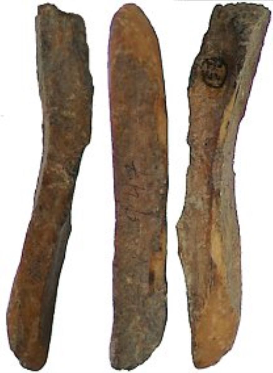 Netezitor pe fragment diafizar de os lung