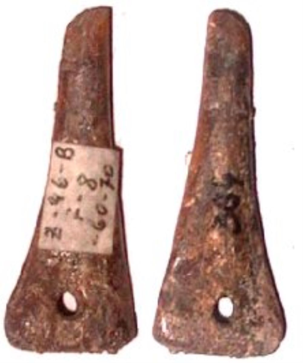 Vârf perforat pe fibula de porc