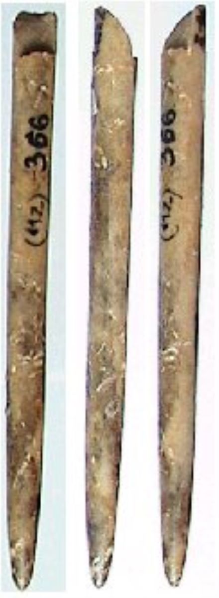 Ac de os (de podoabă) perforat pe fragment de os lung de vită