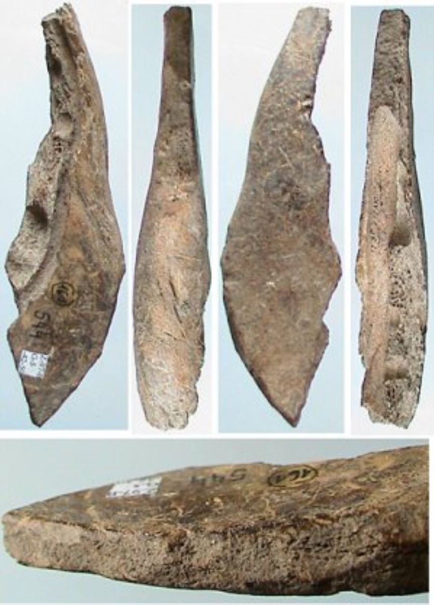 Netezitor pe fragment de os plat