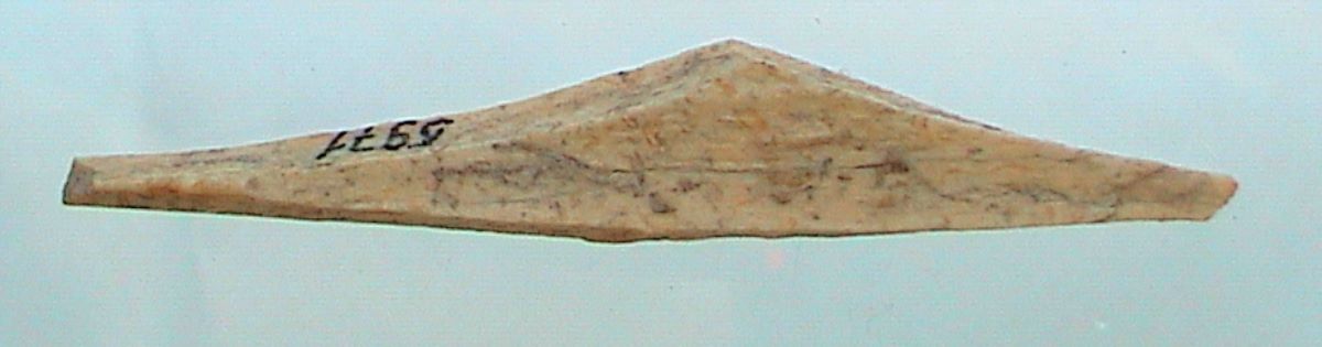 Vârf pe fragment diafizar de os lung
