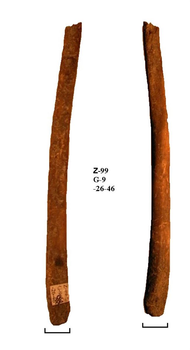Netezitor pe fragment diafizar de os lung
