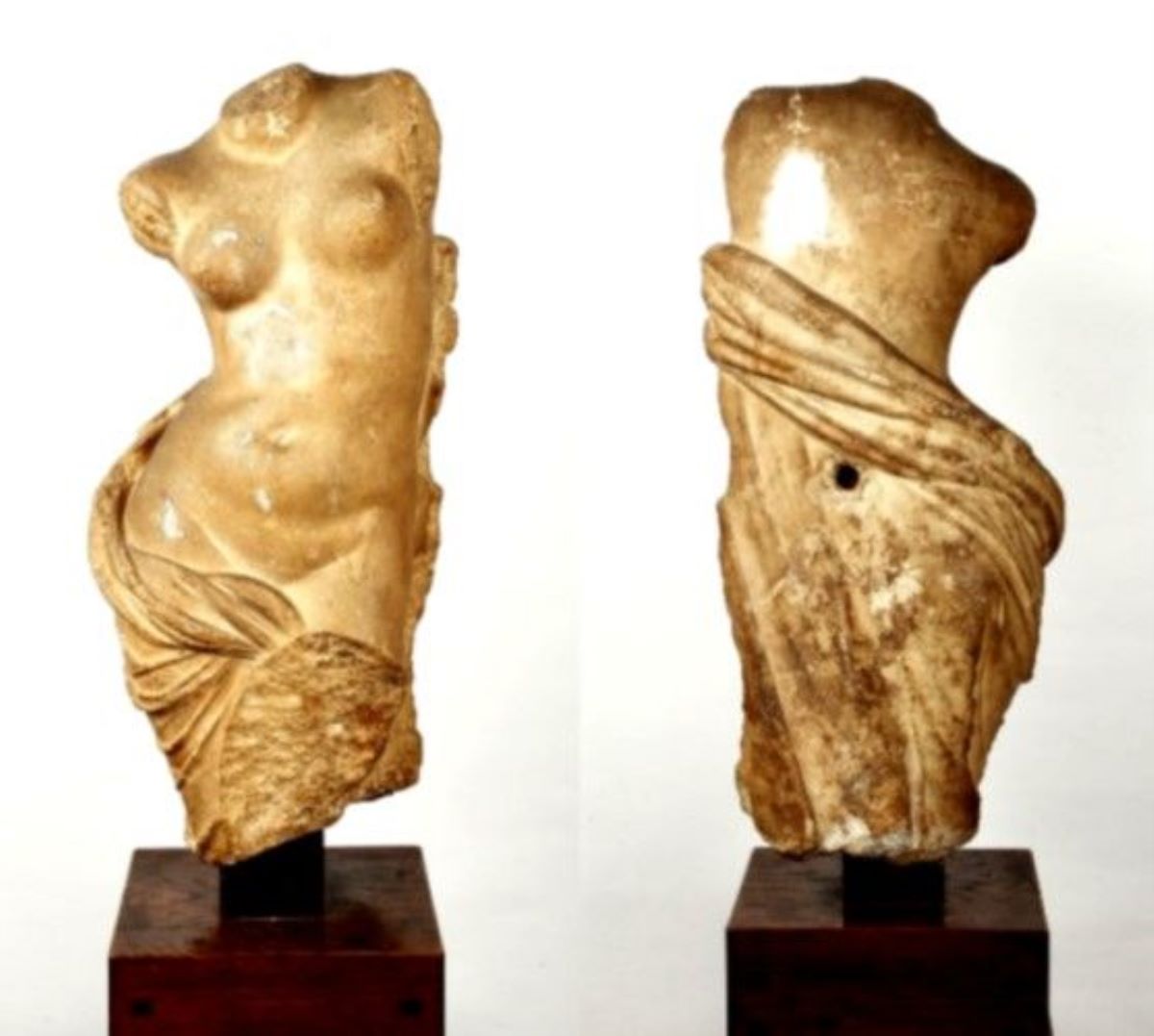 Tors Aphrodita Pontia