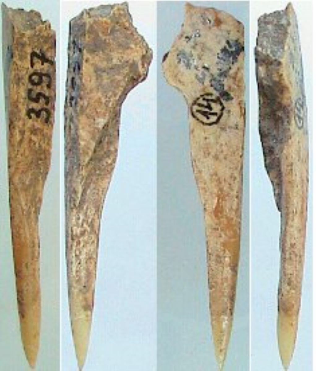Vârf pe fragment diafizar de os lung