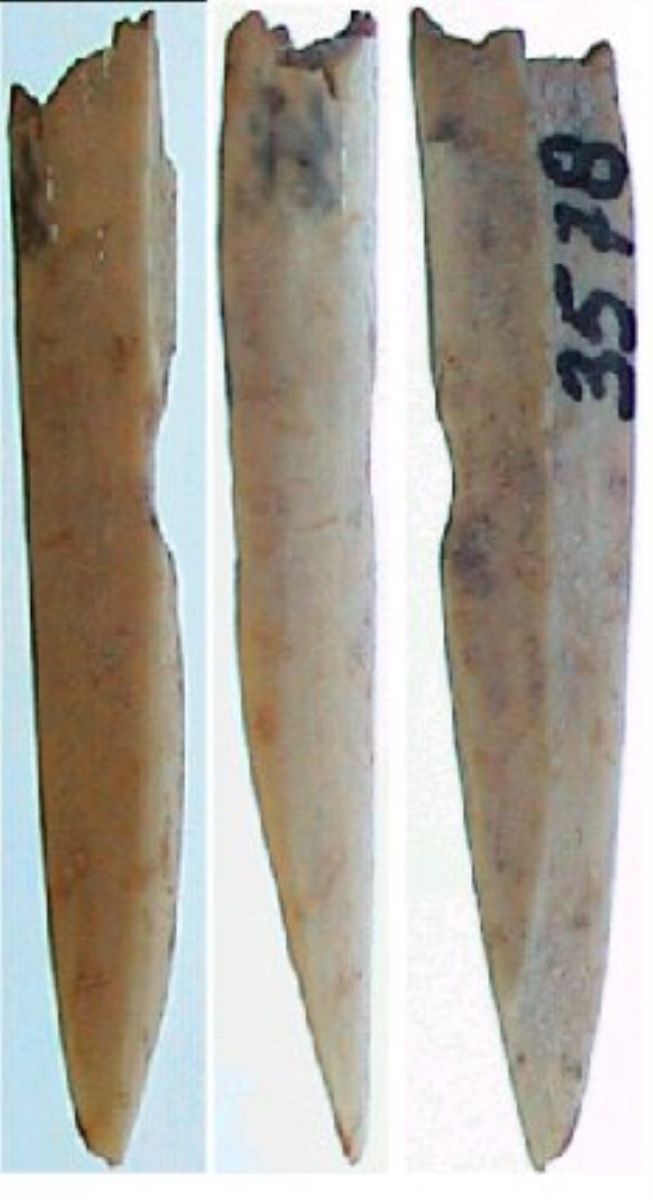 Vârf pe fragment diafizar de os lung